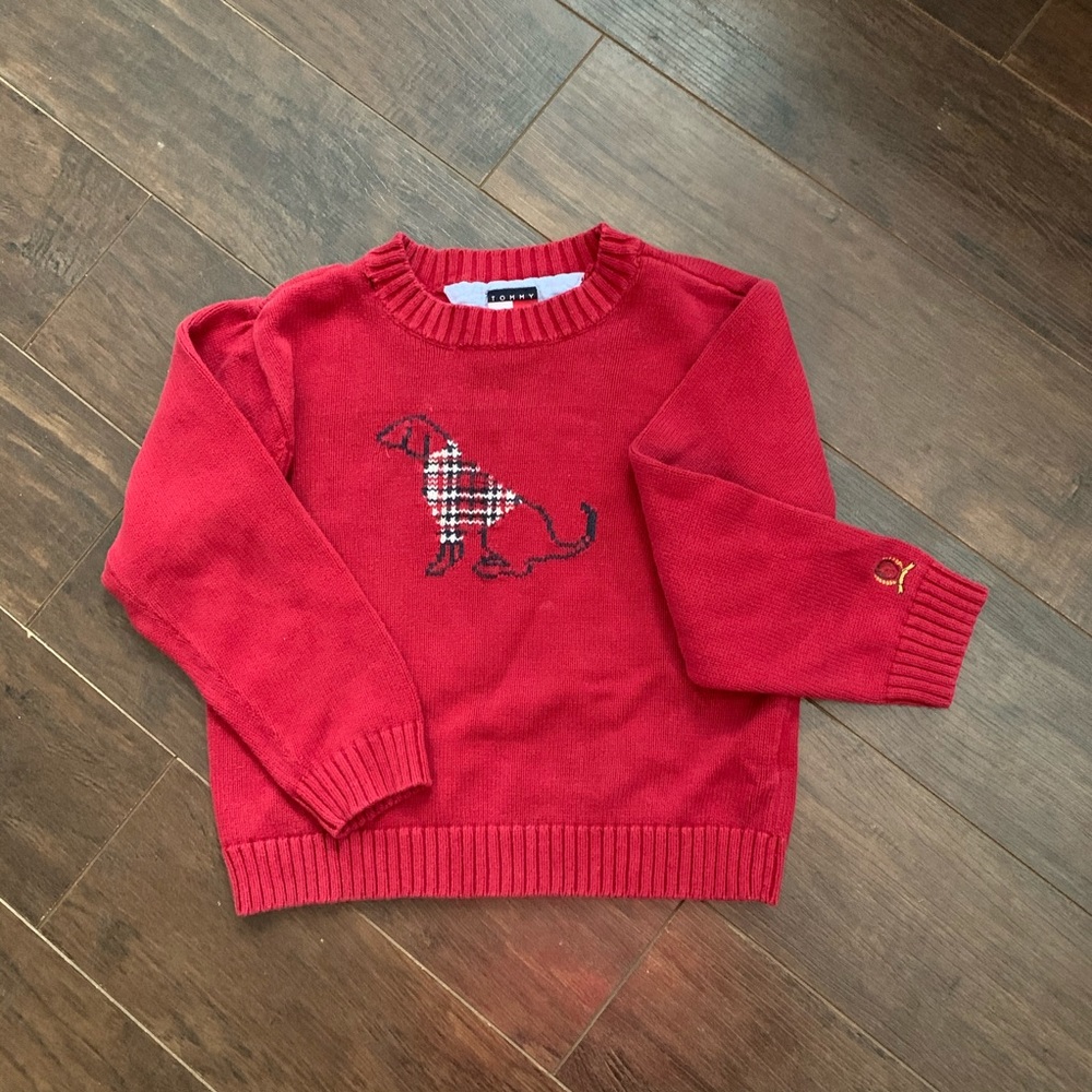 Cute boys TH sweater